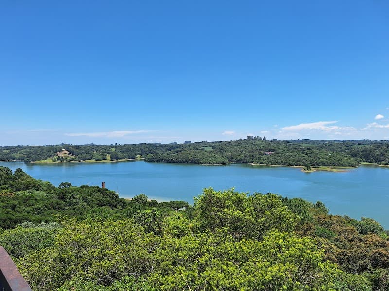 🏞️ Trilhas e Caminhadas em Curitiba