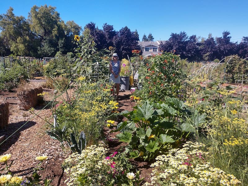 💎 5 hidden gems worth discovering in Mountain View