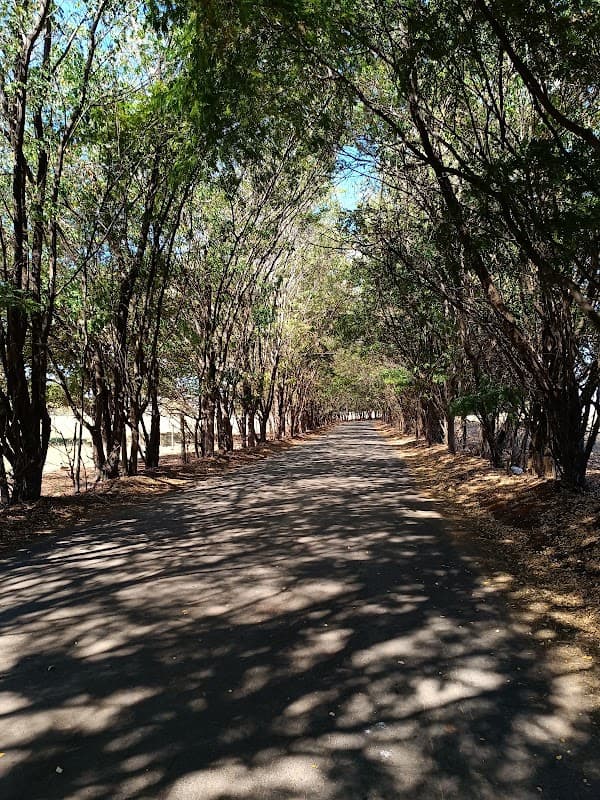 ⭐ 12 lugares que você precisa conhecer em Lagoa Santa